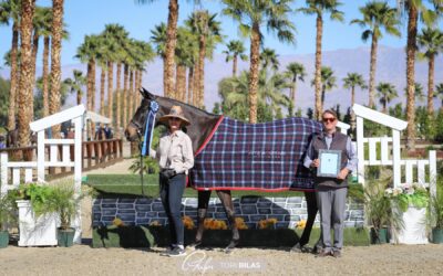 Avery Rose Glynn and Lighthouse Shine in $4,000 Interactive Mortgage Non Pro 3’ Hunter 