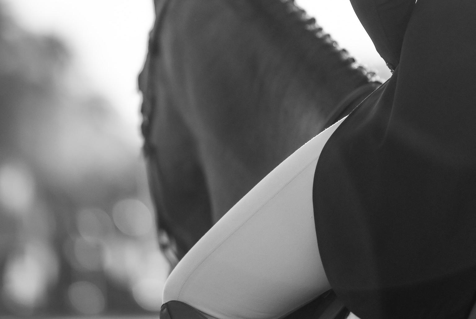 Thursday, March 10 EHV1 Update from Desert International Horse Park