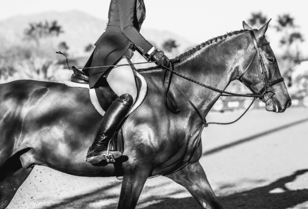 Friday, March 11 EHV1 Update from Desert International Horse Park Desert International Horse