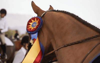 Desert International Horse Park Extends Its Gratitude
