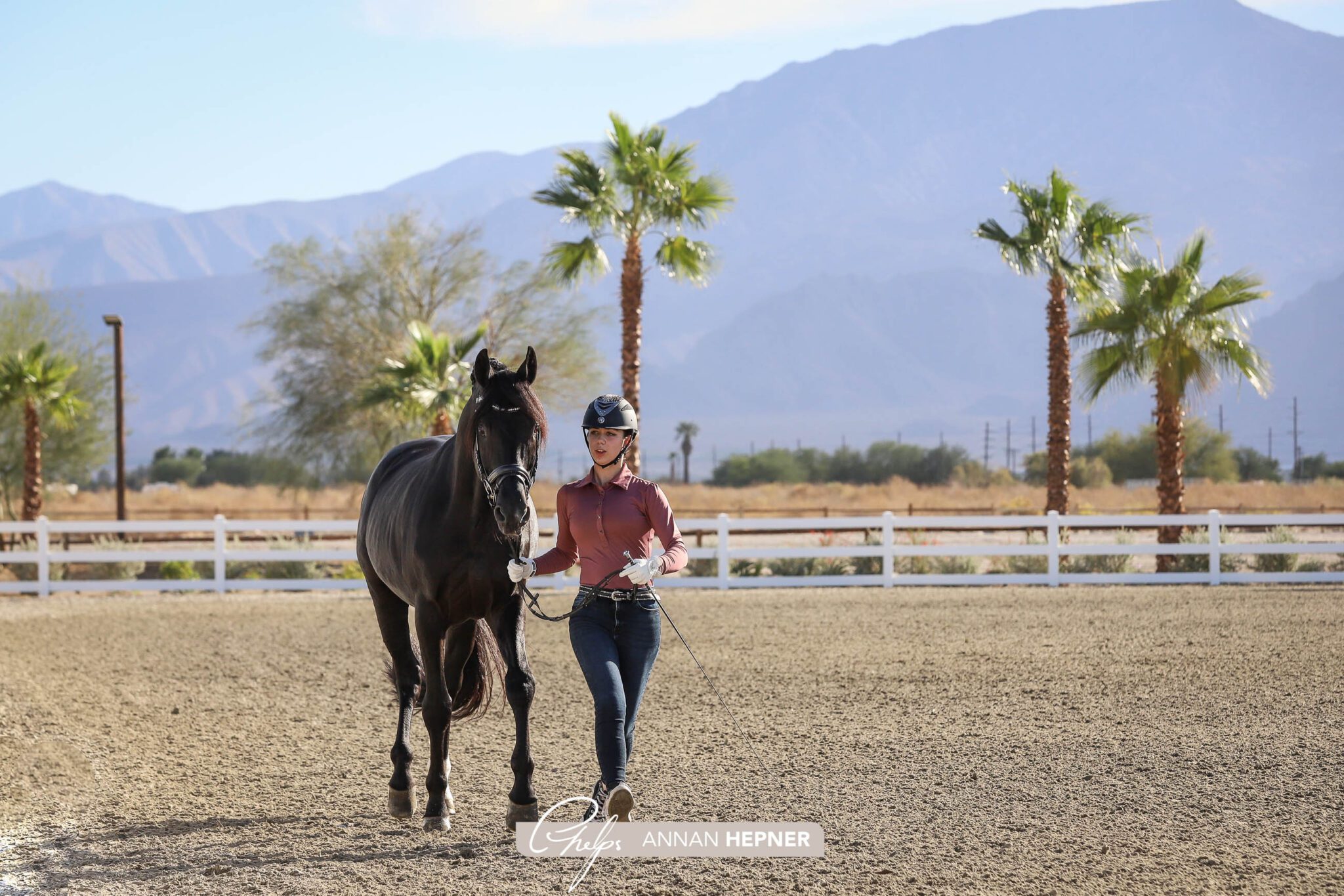 Desert International Horse Park Announces 2024/2025 Desert Dressage Schedule