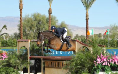 Haness Has His Heyday in $100,000 WCHR West Coast Hunter Spectacular