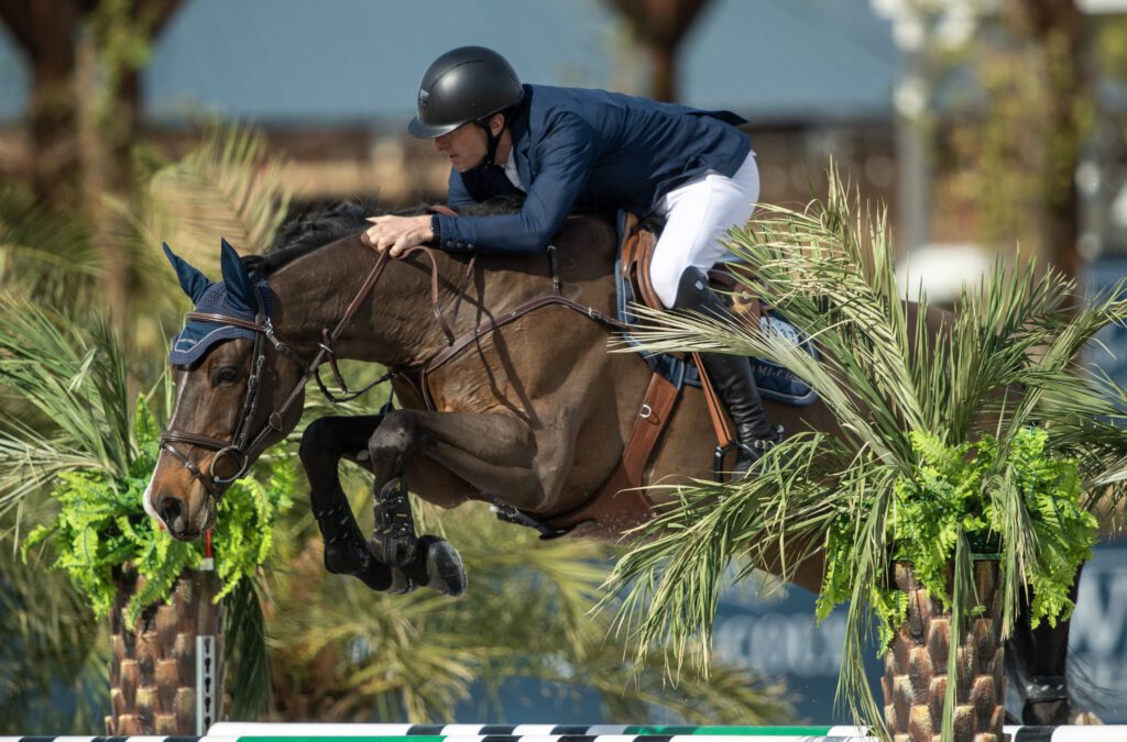 Gregory Wathelet Wins the Day at Desert International Horse Park