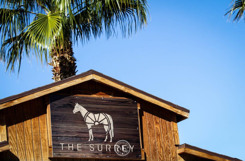 Runway to Ringside: Emma Werner Launches New Equestrian Boutique The Surrey