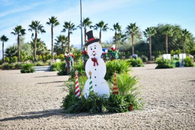 Fri Dec 8-3538Holiday Decor, Main Hunter
