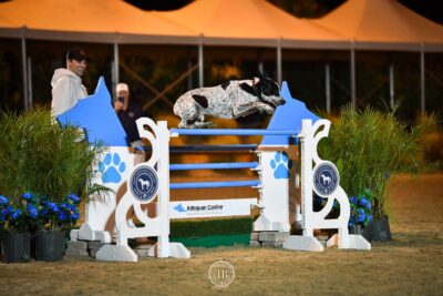 Fri Jan 19-7190Adequan, Dog Puissance