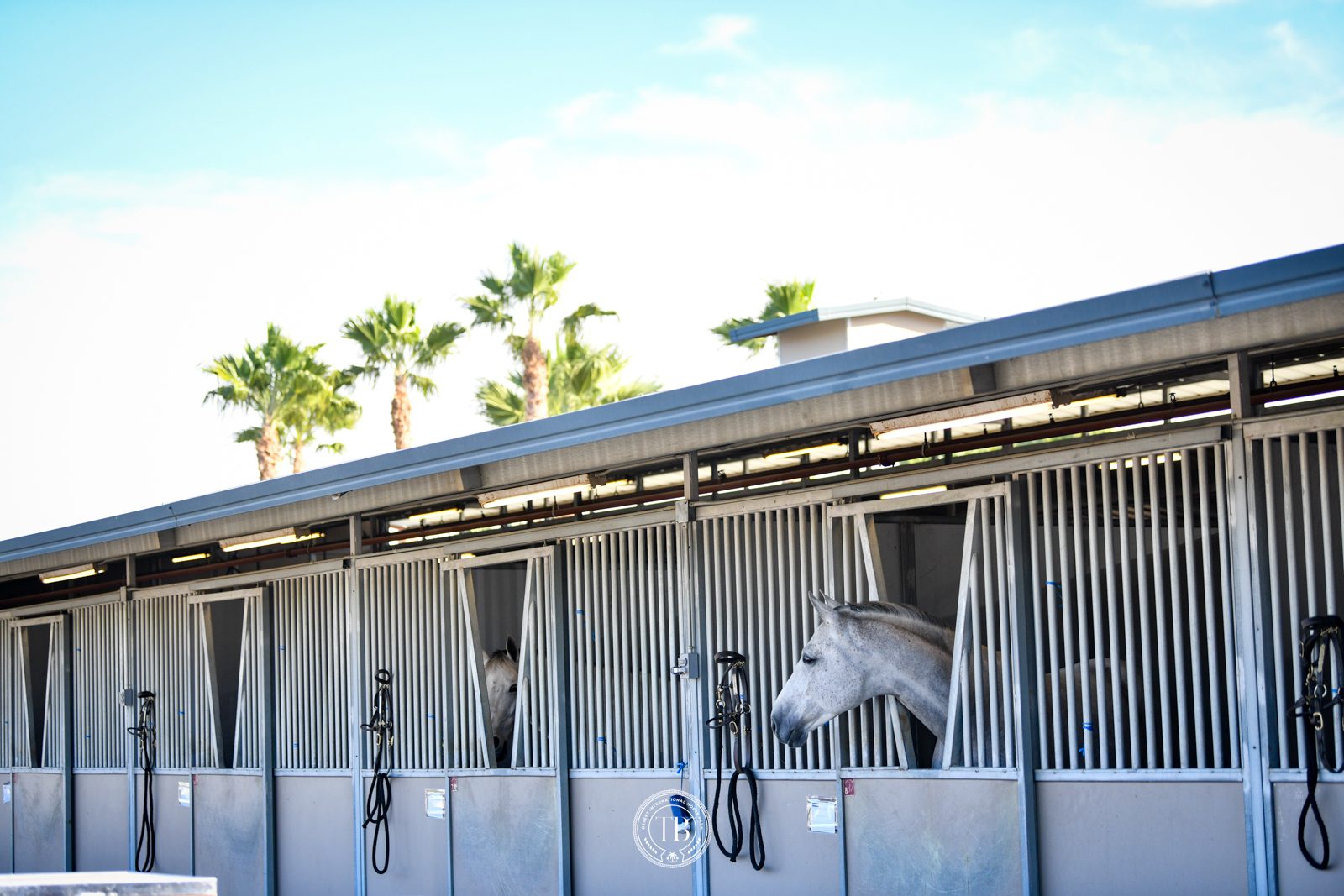 Mon Oct 30-7051Stabling, Stalls (1)