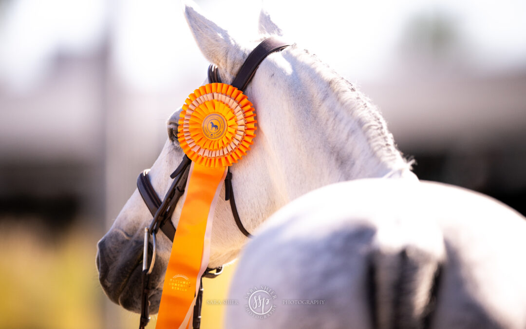 National Sunshine Series Stalls and Entries Now Open!