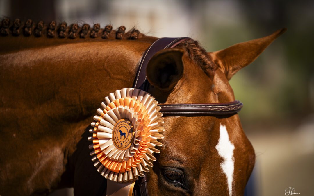 Your National Sunshine Series Checklist