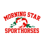 MorningStar_circle_150_white