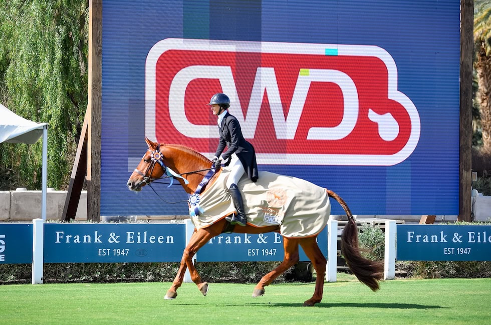 Valentino BF and Canberra Capture Wins on the Grass in $15,000 USHJA National Hunt & Go Derbies